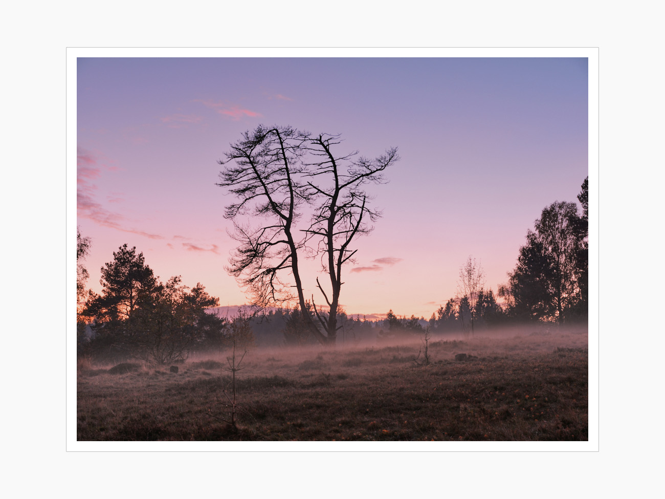 Max Schiefele Alle Bilder  DSF3161